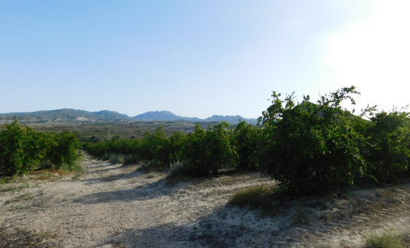 Resale - Building Plot - Torremendo - Costa Blanca South