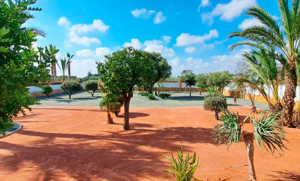 Herverkoop - 7. Finca / landhuis - Catral - Costa Blanca Zuid