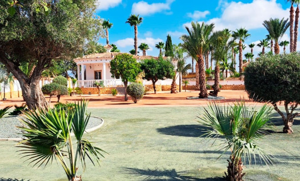 Herverkoop - 7. Finca / landhuis - Catral - Costa Blanca Zuid