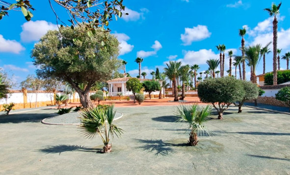 Herverkoop - 7. Finca / landhuis - Catral - Costa Blanca Zuid