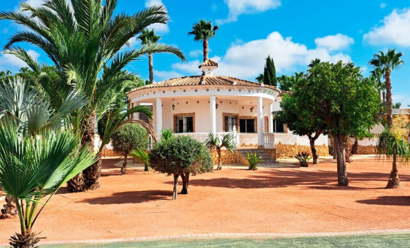 Herverkoop - 7. Finca / landhuis - Catral - Costa Blanca Zuid