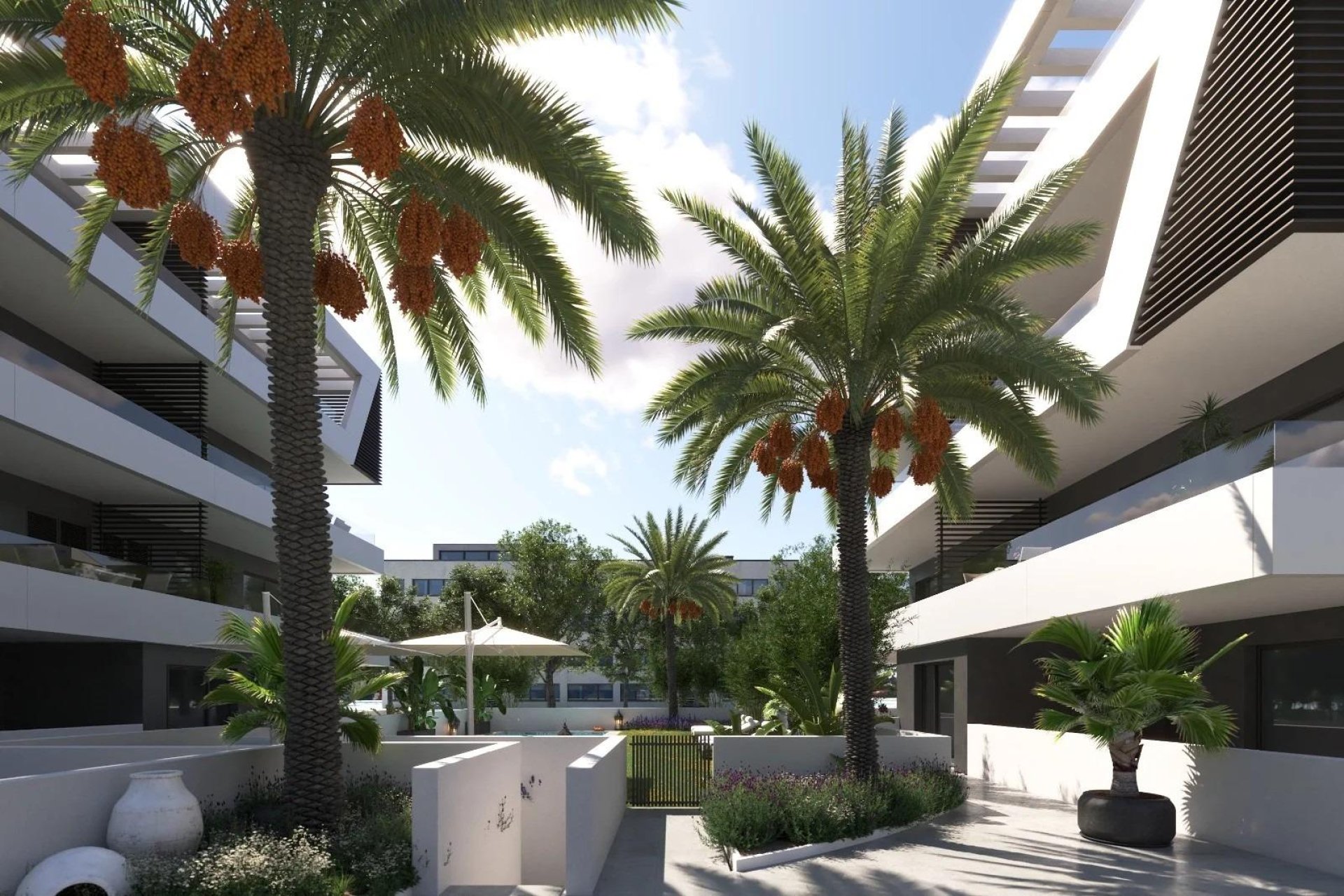 Neue Gebäude - Wohnung - San Juan Alicante