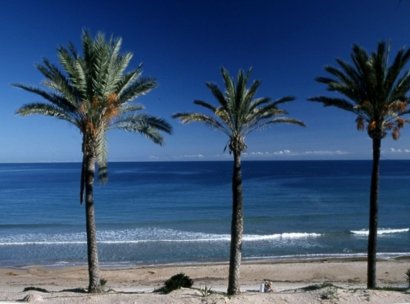 Bungalow · Nybyggnation - Pilar de la Horadada · Parque Ramon eugenio Escudero · Alicante · Spanien