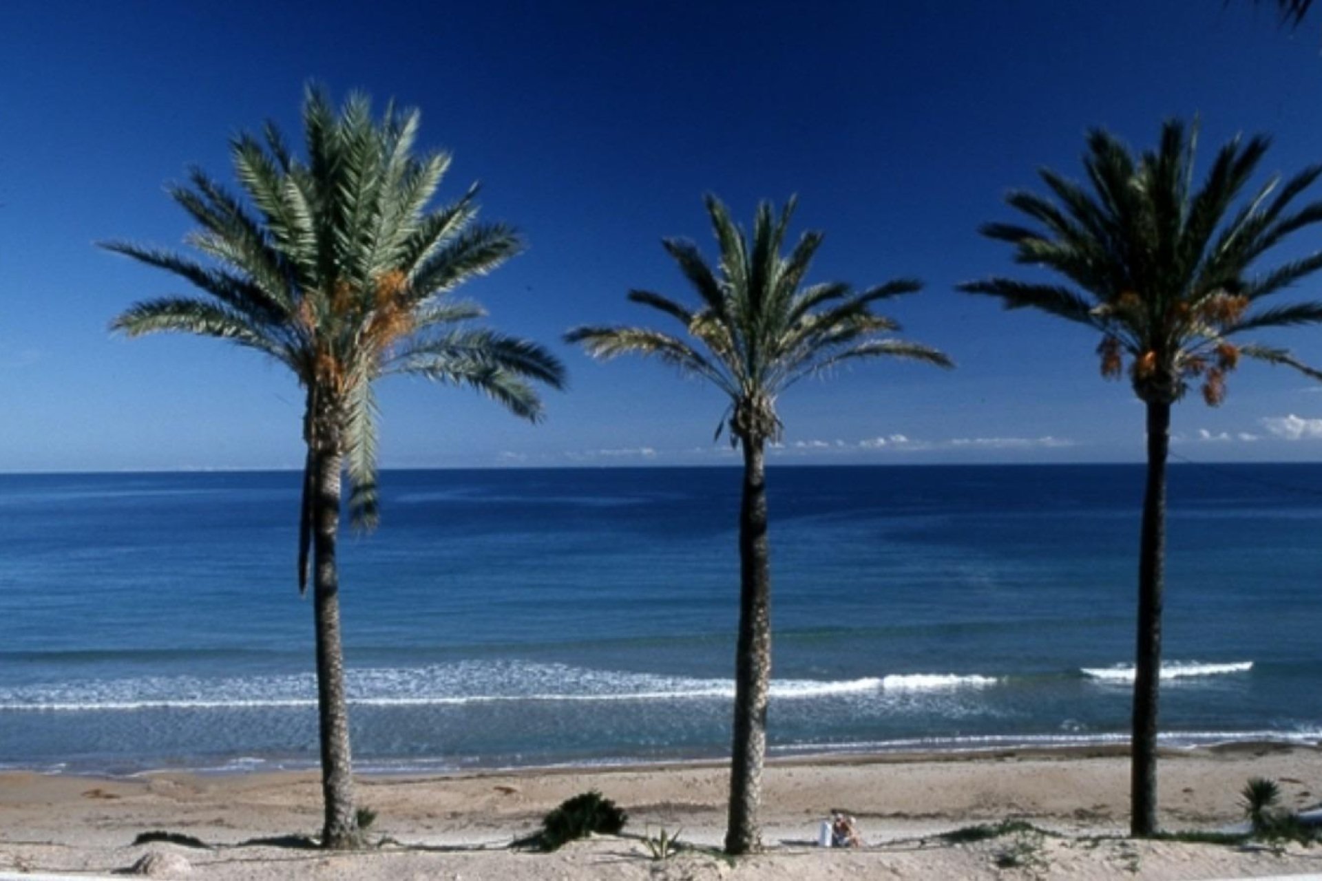 Nybyggnation - Bungalow - Pilar de la Horadada - Costa Blanca South