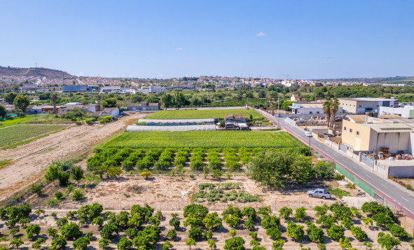 Herverkoop - Bouwgrond - Formentera del Segura - Costa Blanca Zuid