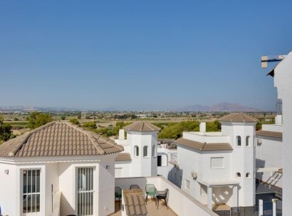 Villa · Obra nueva - San Fulgencio · El Oasis · Alicante · España