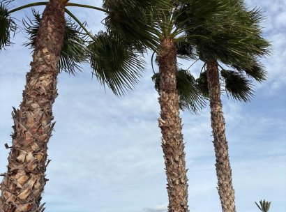 Villa independiente · Reventa - Crevillente · Alicante · España