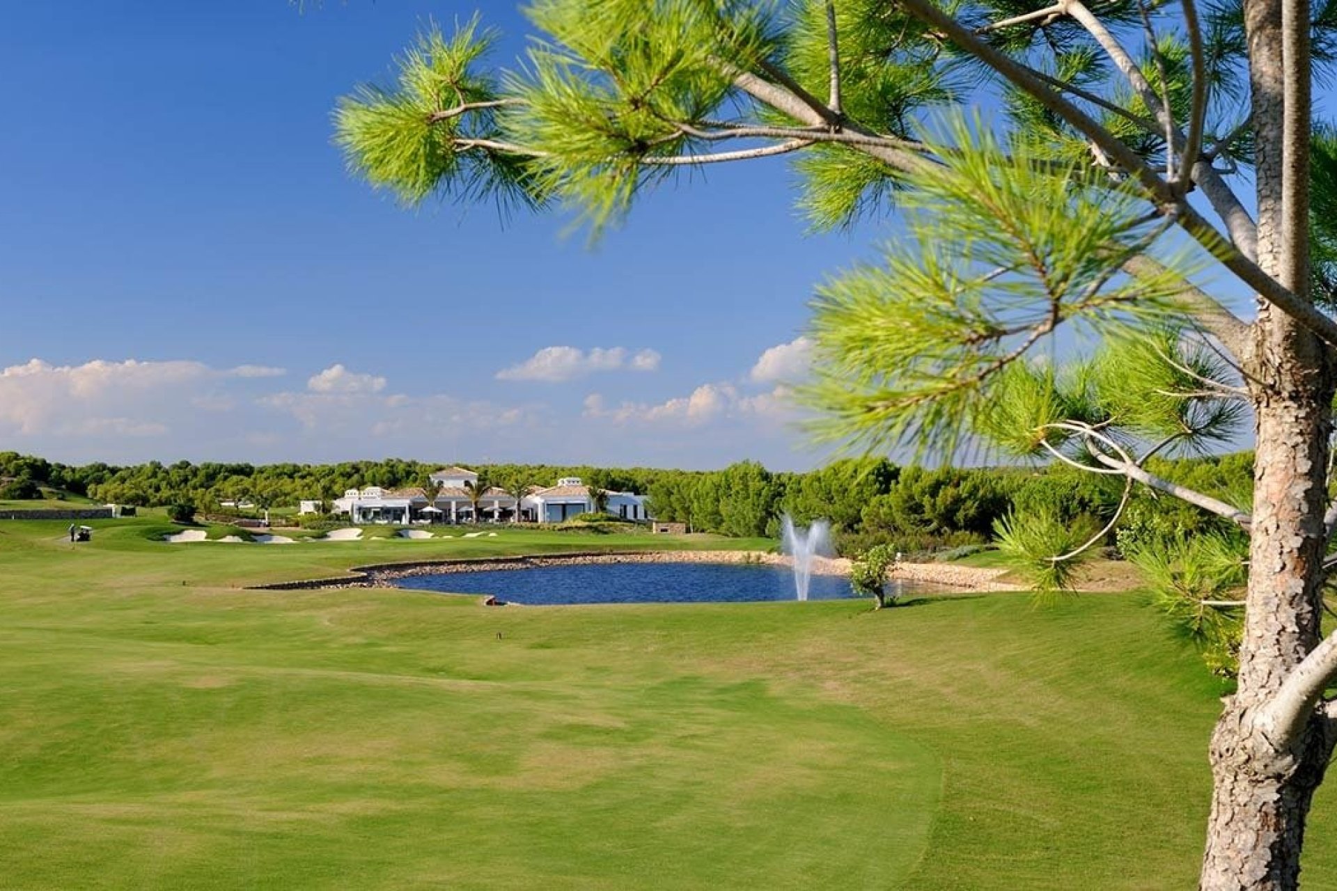 Obra nueva - Ático - Orihuela Costa - Costa Blanca Sur