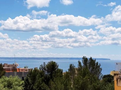 Appartement · Herverkoop - Palma · Sant Agustí · Mallorca · Spanje