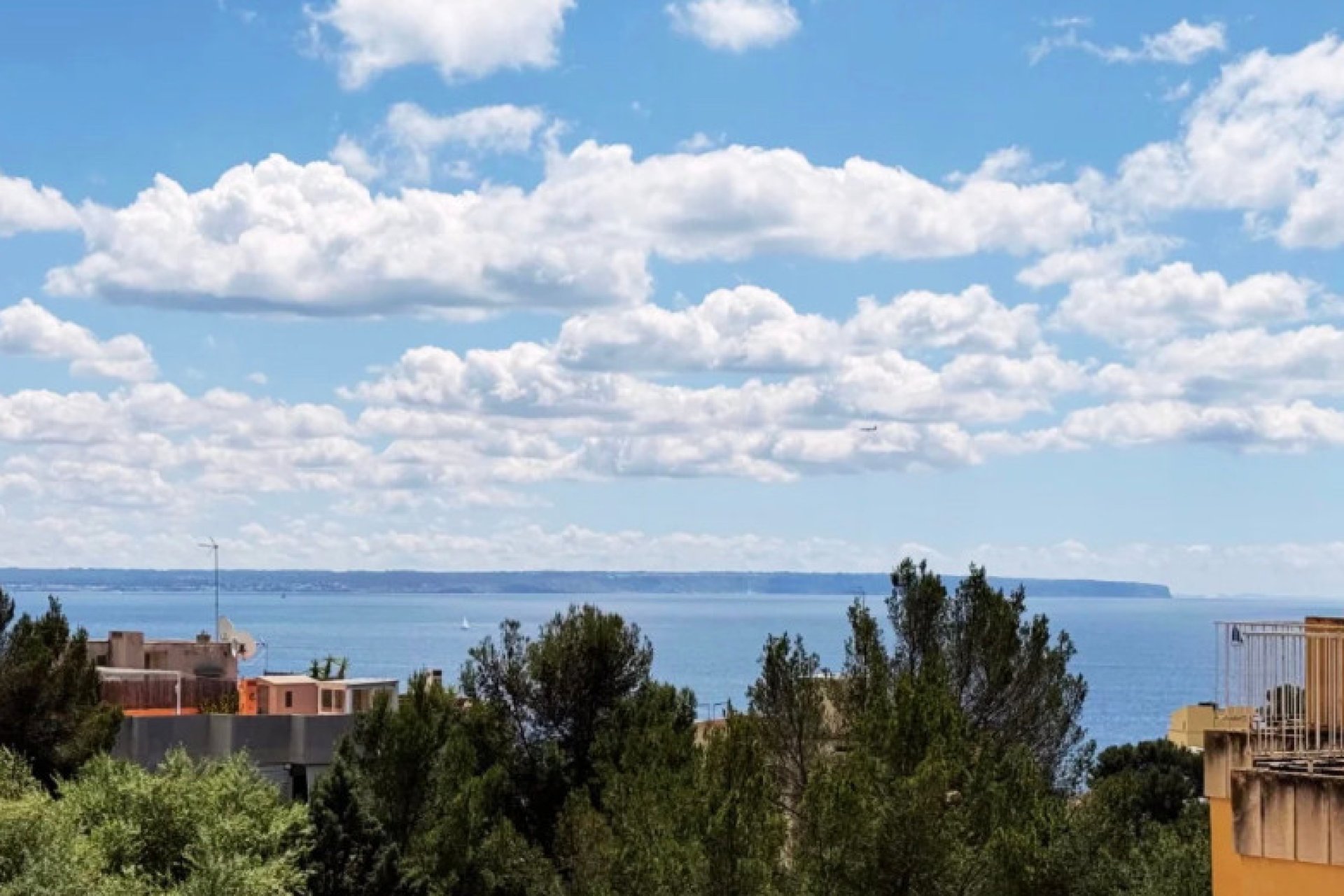 Herverkoop - Appartement - Palma
