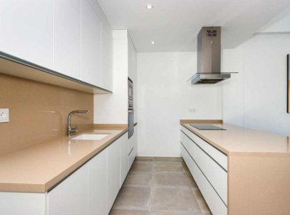 Quad house · Nieuwbouw woningen - Torrevieja · Centro · Alicante · Spanje
