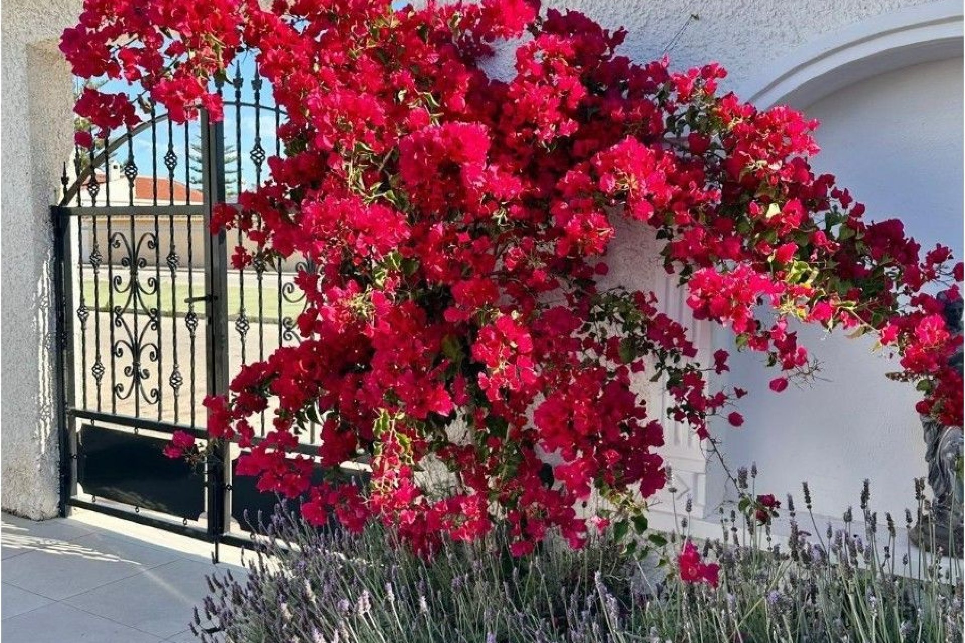 Resale - Villa - Torrevieja - Costa Blanca South