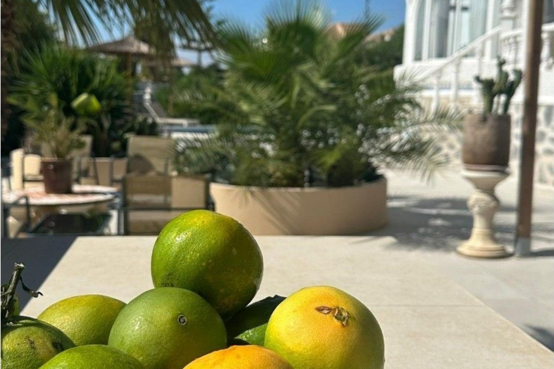 Resale - Villa - Torrevieja - Costa Blanca South