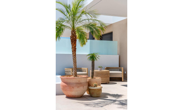 Nieuwbouw woningen - 3. Halfvrijstaand huis - Dolores - Costa Blanca Zuid