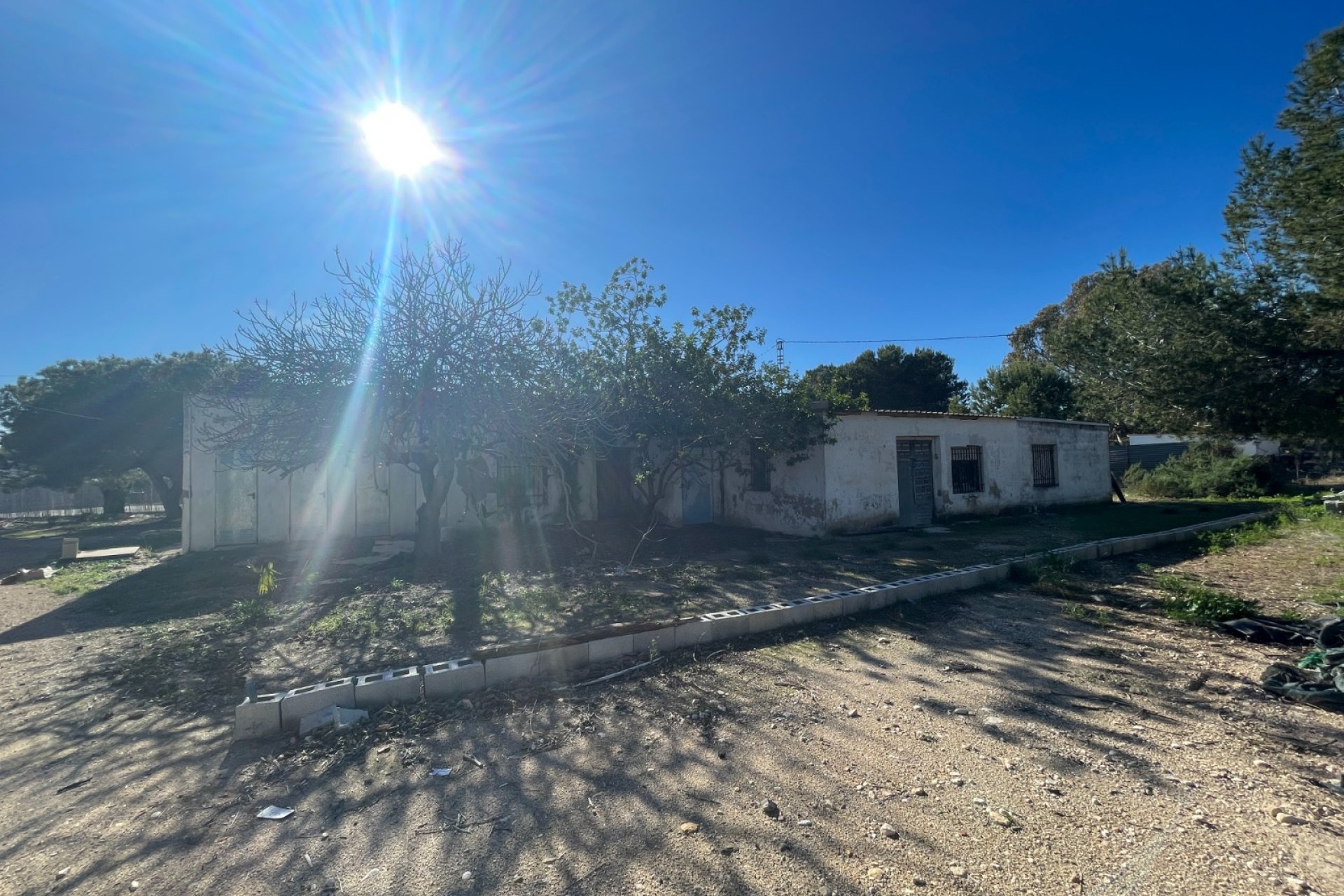 Herverkoop - Finca / Country Property - Elche - Costa Blanca South