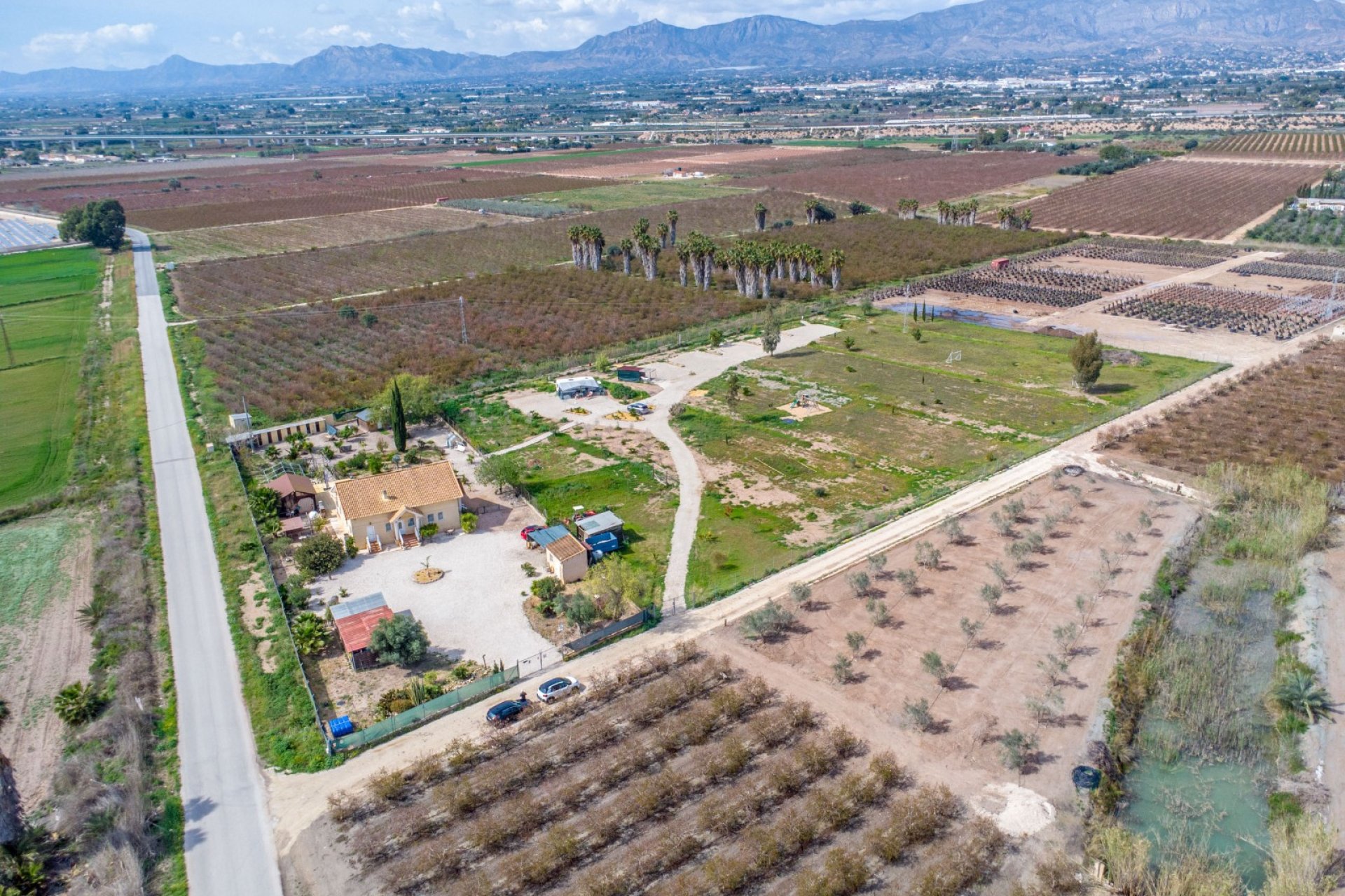 Resale - finca - Crevillente