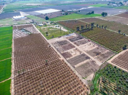 finca · Herverkoop - Crevillente · Alicante · Spanje