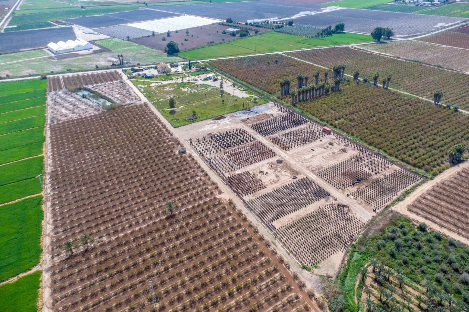 Resale - finca - Crevillente