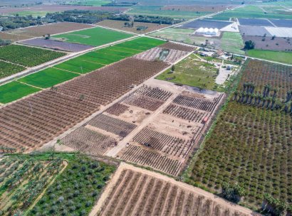 finca · Herverkoop - Crevillente · Alicante · Spanje