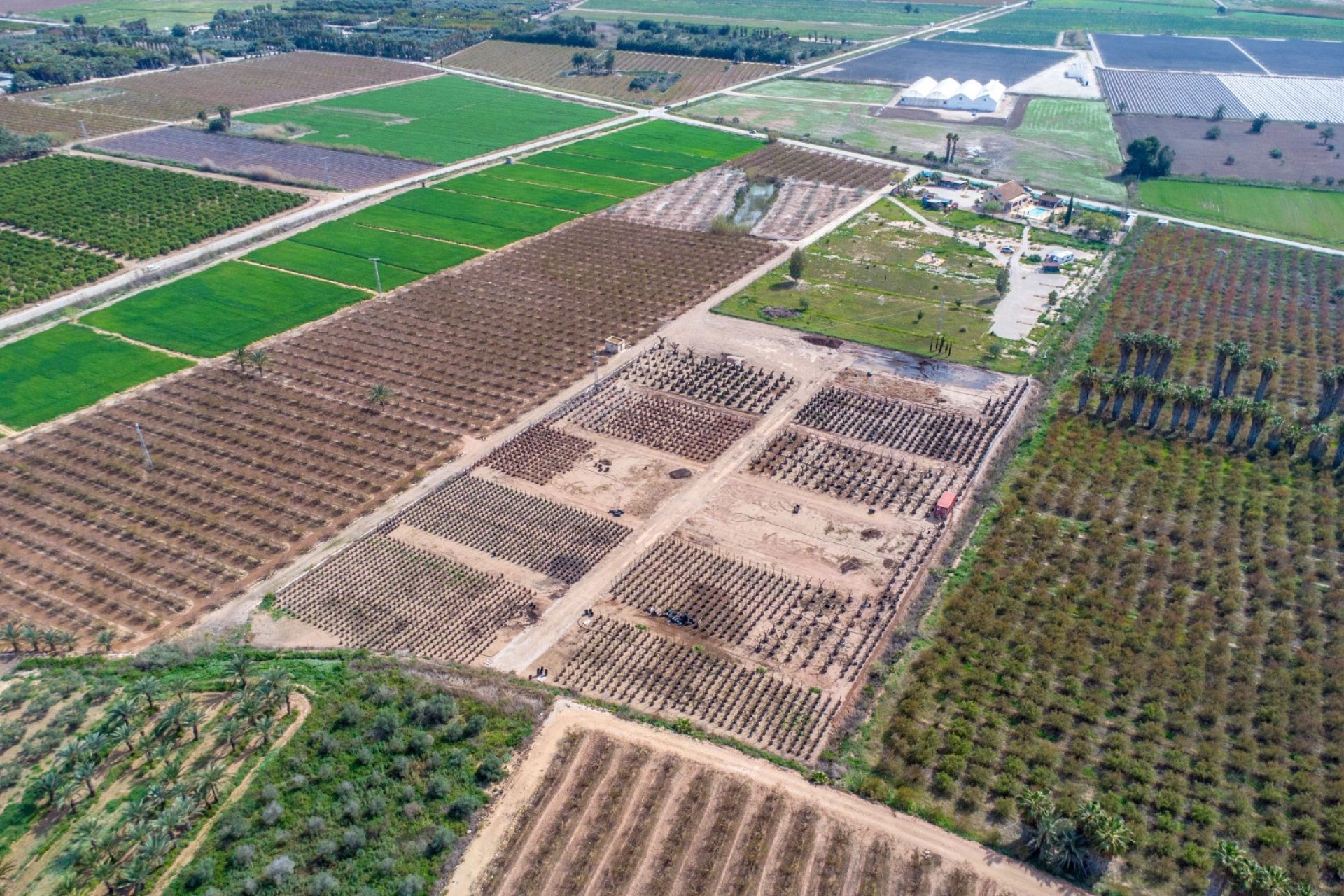 Resale - finca - Crevillente