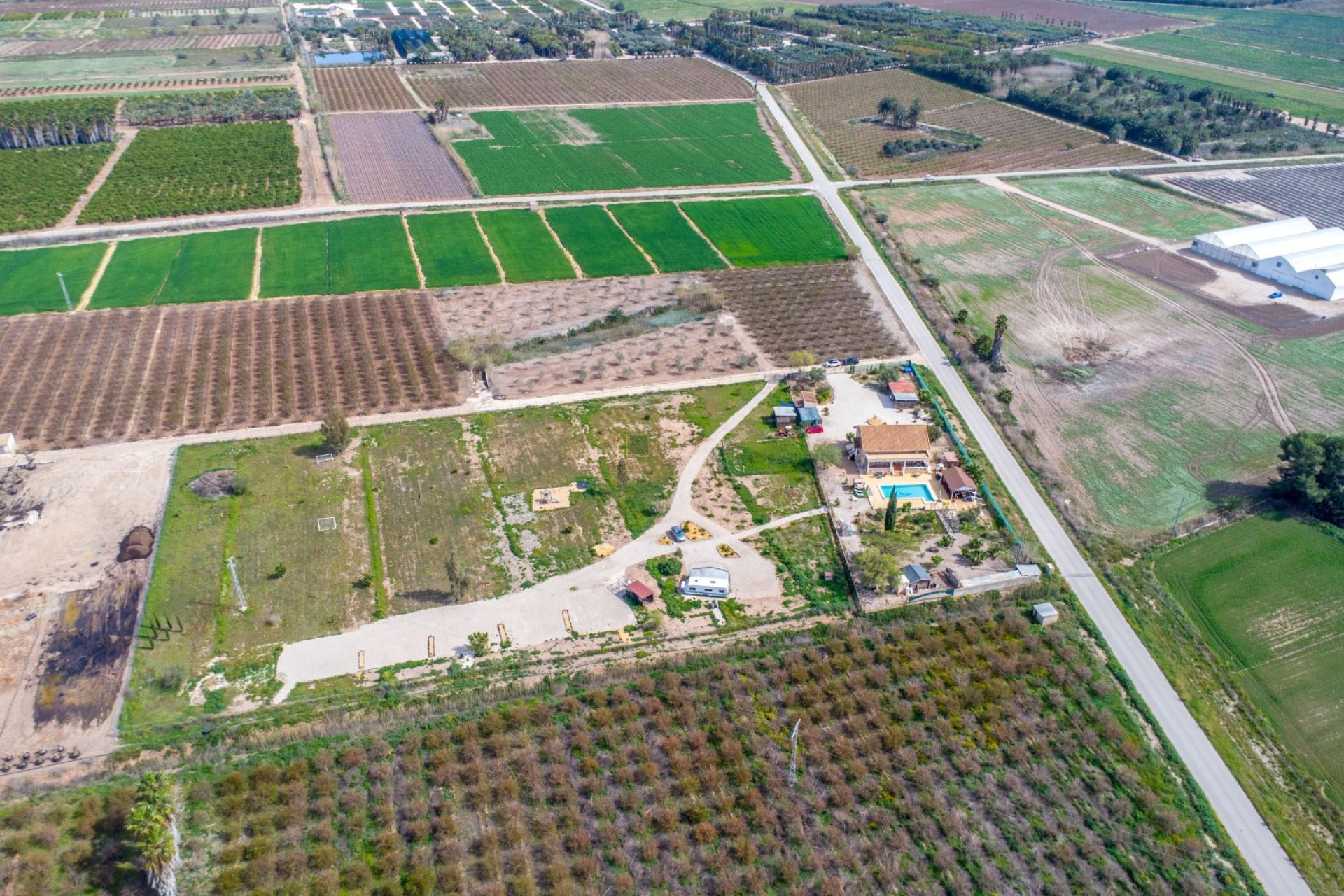 Resale - finca - Crevillente