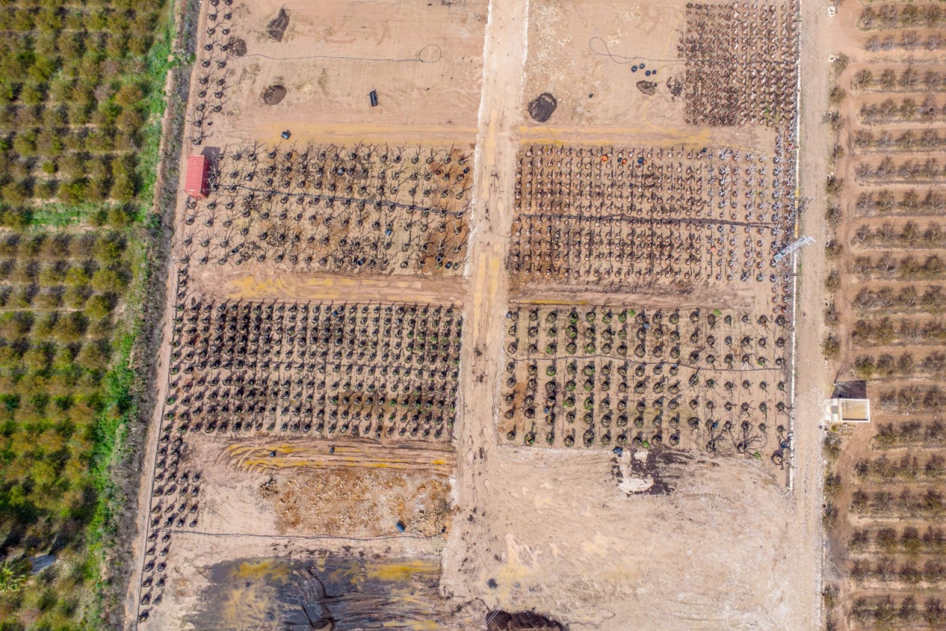 Resale - finca - Crevillente