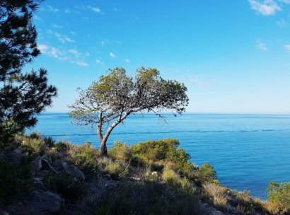Appartement · Nieuwbouw woningen - Villajoyosa · Playa Les Torres · Alicante · Spanje