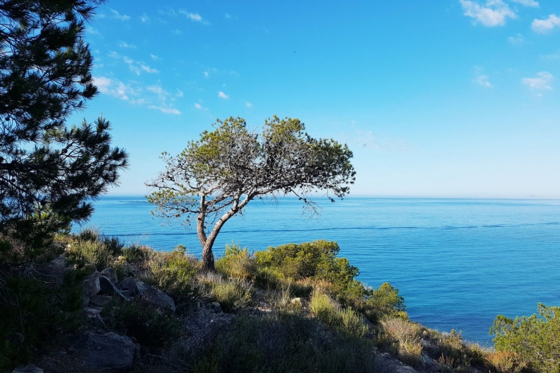 Nieuwbouw woningen - Appartement - Villajoyosa - Costa Blanca North