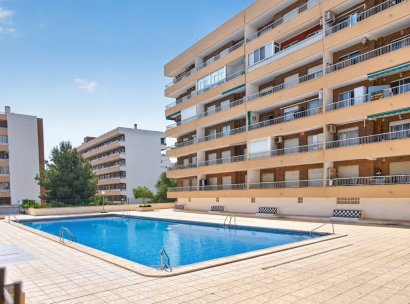 Penthouse · Herverkoop - Orihuela Costa · Punta Prima · Alicante · Spanje