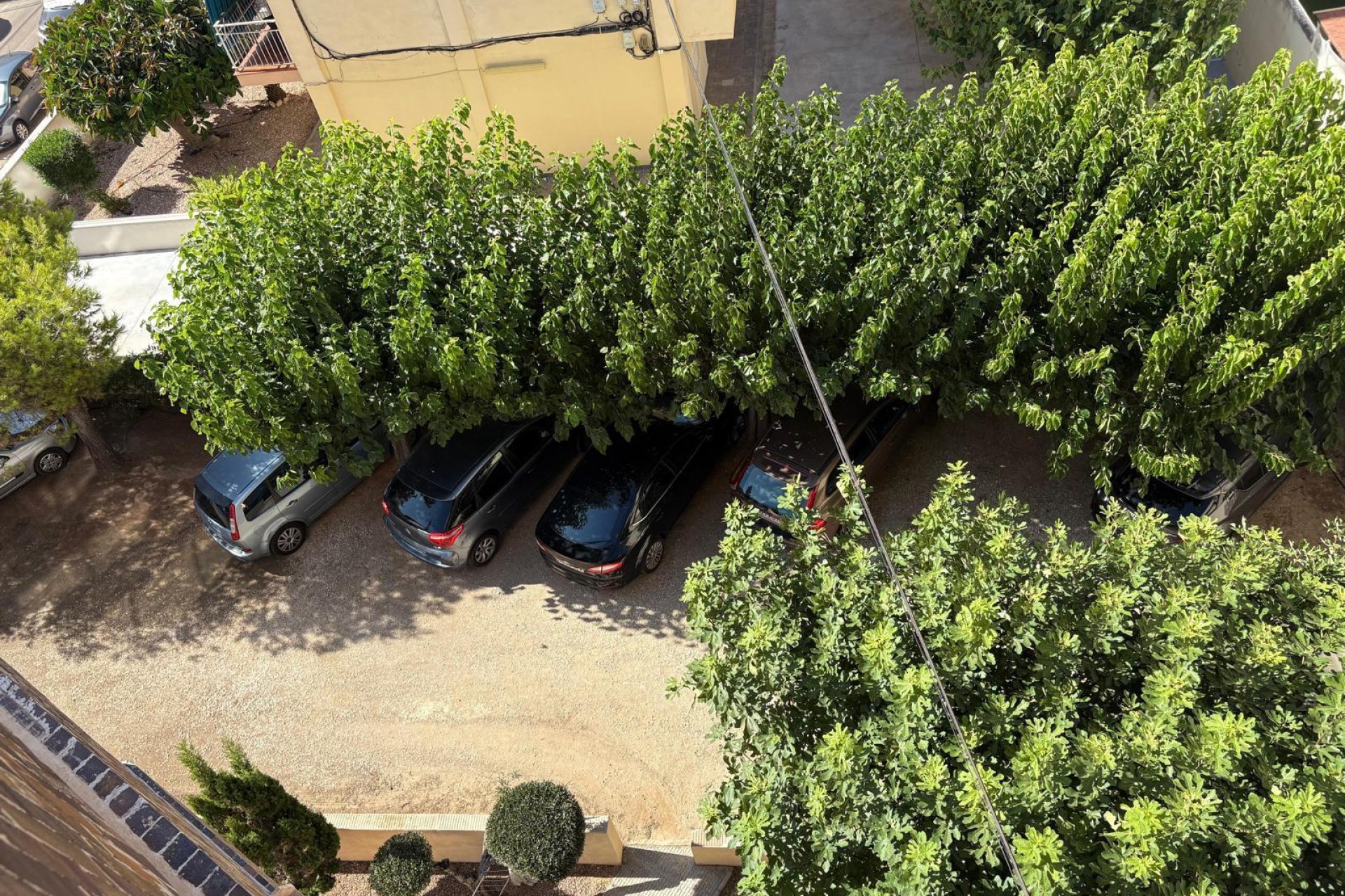 Reventa - Apartamento - Torrevieja - Costa Blanca Sur