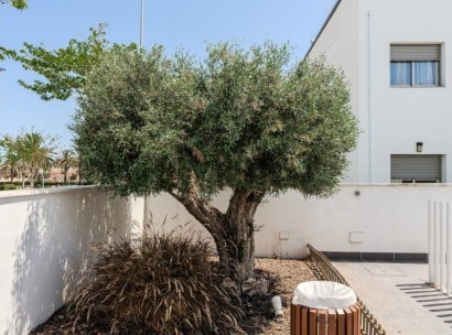 Penthouse · Herverkoop - Torre de la Horadada · Alicante · Spanje