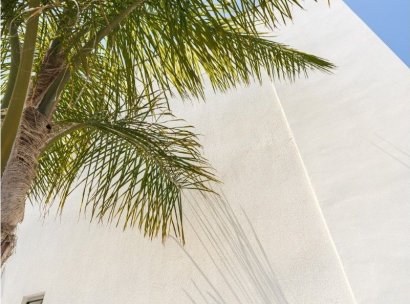 Penthouse · Herverkoop - Torre de la Horadada · Alicante · Spanje