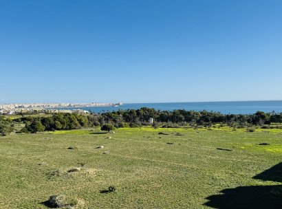 Penthouse · Resale - Punta Prima · Alicante · Spain