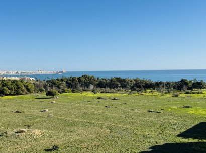 Penthouse · Resale - Punta Prima · Alicante · Spain