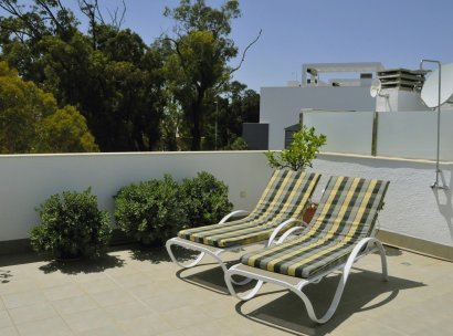 Penthouse · Herverkoop - Guardamar del Segura · Alicante · Spanje