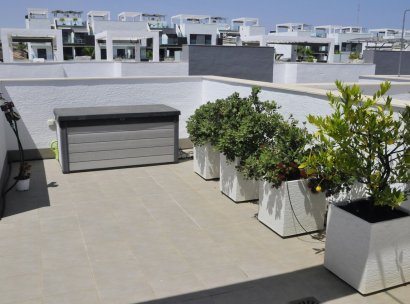 Penthouse · Herverkoop - Guardamar del Segura · Alicante · Spanje