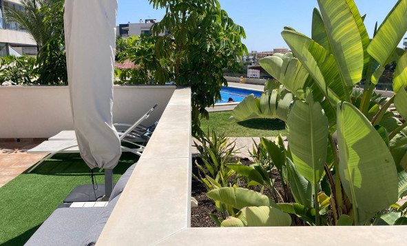 Herverkoop - 1. Appartement / flat - Los Dolses - Costa Blanca Zuid