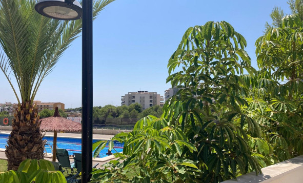 Herverkoop - 1. Appartement / flat - Los Dolses - Costa Blanca Zuid