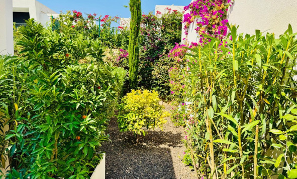 Herverkoop - 3. Halfvrijstaand huis - Algorfa - Costa Blanca Zuid