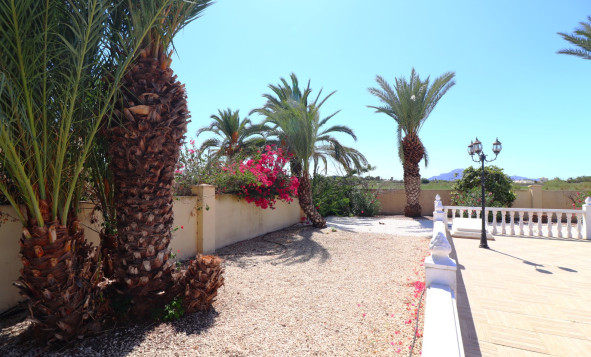 Herverkoop - 7. Finca / landhuis - Catral - Costa Blanca Zuid