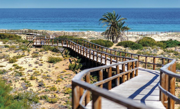 Nieuwbouw woningen - 1. Appartement / flat - Monforte del Cid - Costa Blanca Noord