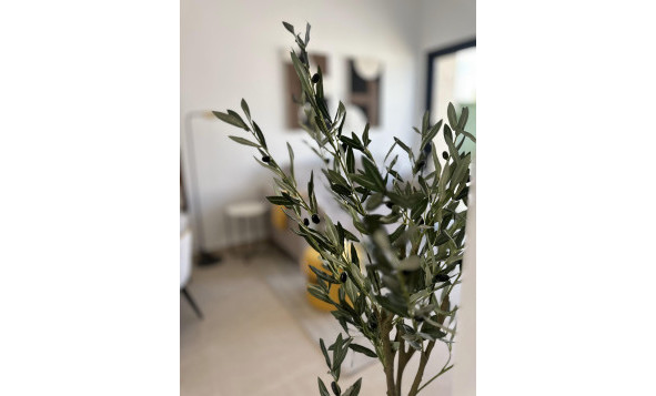 Obra nueva - 1. Apartamento / piso - San Fulgencio - Costa Blanca Sur