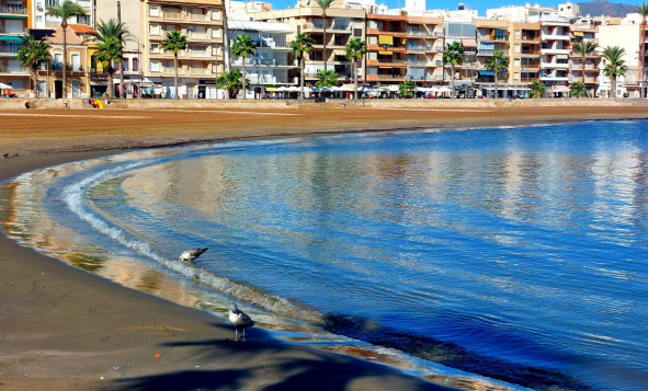 Nieuwbouw woningen - 1. Appartement / flat - Fuente Alamo de Murcia - Costa Calida