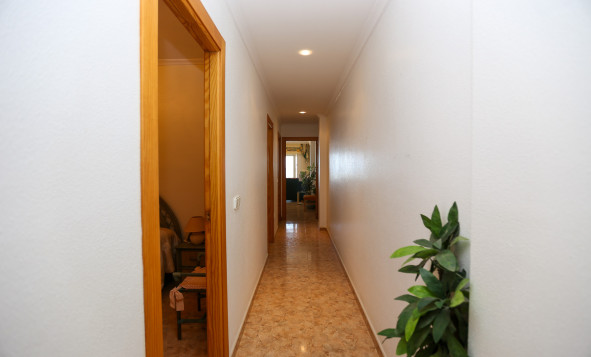 Herverkoop - 1. Appartement / flat - La Mata - Costa Blanca Zuid