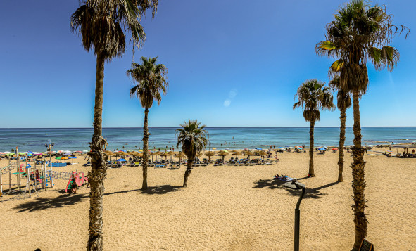 Herverkoop - 1. Appartement / flat - La Mata - Costa Blanca Zuid