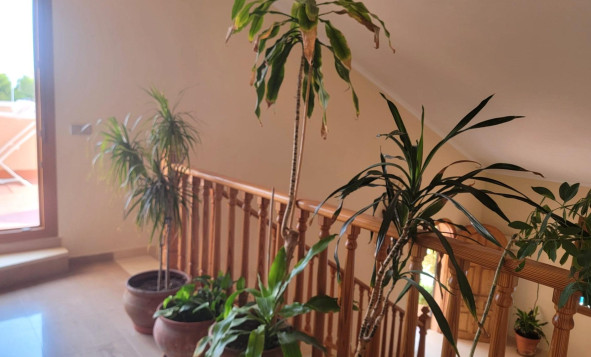 Herverkoop - 3. Halfvrijstaand huis - Torrevieja - Costa Blanca Zuid