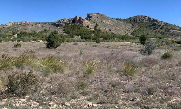 Herverkoop - Bouwgrond - Sax - Costa Blanca Noord