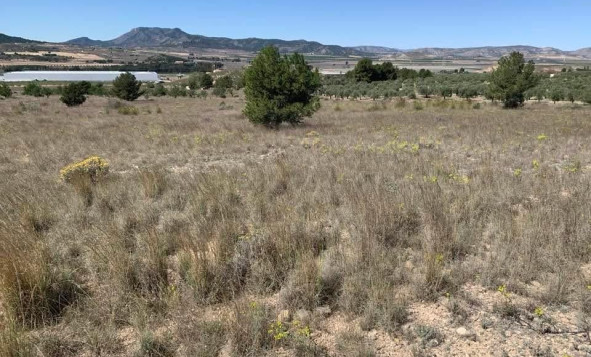 Herverkoop - Bouwgrond - Sax - Costa Blanca Noord