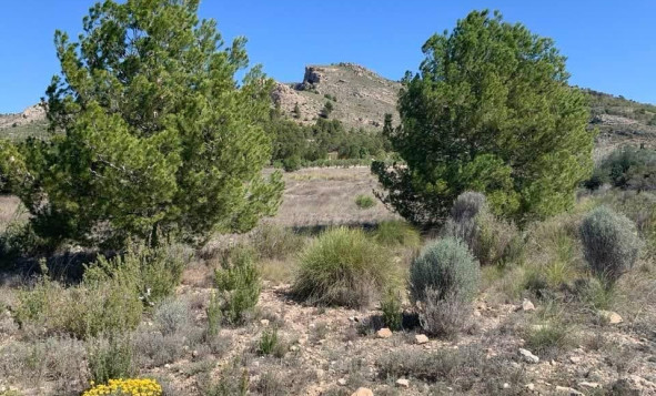 Herverkoop - Bouwgrond - Sax - Costa Blanca Noord