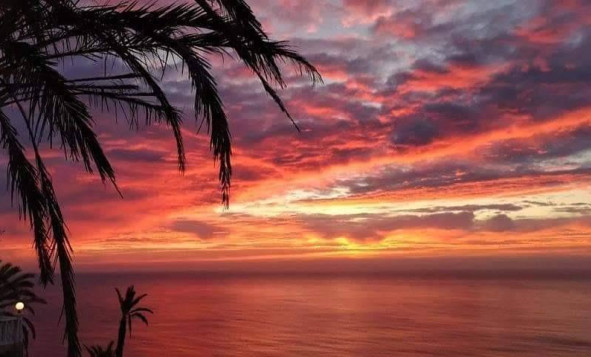 Nieuwbouw woningen - 1. Appartement / flat - Torrevieja - Costa Blanca Zuid